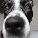 Marly. Een project van Fotografie, Portretfotografie, Lifest, le fotografie, Fotografie voor Instagram y  Documentairefotografie van marcia_10g - 19.10.2025