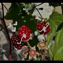 Entre luces y sombras  Ein Projekt aus dem Bereich Kreative Beratung und Kreativität von Mónica Beristain - 20.10.2025