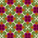 Color Palettes for Vibrant Patterns. Un progetto di Illustrazione digitale, Illustrazione tradizionale, Illustrazione vettoriale, Teoria del colore e Pattern design di yasmeensousa - 21.10.2025