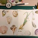 [Propio] Acuarela marina. Een project van Traditionele illustratie,  Tekening, Schilderij y Aquarelschilderen van Casandra Riera Ribas - 22.10.2025