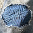 surgem novas espécies.. Embroider, Fiber Arts, Upc, cling, and Sewing project by Camila Geremía - 10.26.2025