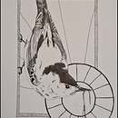 Nuthatch. Drawing, Ink Illustration, Naturalistic Illustration, and Pencil Drawing project by katieloney - 10.26.2025