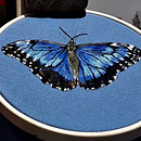mariposa blue Morpho . Een project van Borduurwerk van Cecilia Astudillo - 30.10.2025