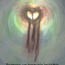 "Trsiteza: un lenguaje invisible" . Fotografie și Scriere creativă de Karina Albornoz - 11.02.2025