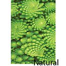 Fractal Natural . Pencitraan Merek, Identitas, Desain, Desain Grafis, Desain Logo, Dan Tipografi proyek oleh Andreas Pompa Lozano - 11.04.2025