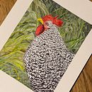 Gallina nel prato . Desen, Desen realist, Ilustrație tradițională & Ilustrație naturalistă de Alessandra Roncagliolo - 11.07.2025