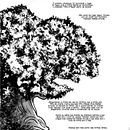 Roots (Raízes in Portuguese). Projekt z dziedziny Komiks użytkownika Felipe Coutinho - 09.11.2025