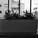 C.A. Sèrie fotogràfica de geometria. Un proyecto de Fotografía y Fotografía artística de Sarah Rondón - 10.11.2025