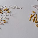 Proyecto final bordado . Projekt z dziedziny DIY,  Haft, Papercraft, Fotografia, Wzornictwo tekst i liów użytkownika Val - 13.11.2025