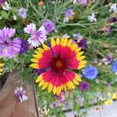 Llum i ombres. Fotografia artística projeto de Saray Lucena Boleda - 14.11.2025