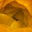 Combined different seasons. Decoration, Interior Design, DIY, L, scape Architecture, Floral, and Plant Design project by ANASTASIYA SIABROUSKAYA - 11.14.2025