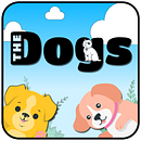 'THE DOGS' - Game & App Design. Un projet de Conception de personnages, Jeux vidéo, Conception de jeux vidéo, UX / UI, Illustration numérique, Génération d’Images, Conception numérique , et Dessin numérique de Alexia Paphitis - 15.11.2025