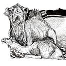 Dromadaires à l'encre . Menggambar, Ilustrasi Tinta, Ilustrasi Naturalistik, Dan Membuat sketsa proyek oleh p_m_guinchard - 11.15.2025