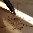 Passion orchid. Een project van  Botanische illustratie, Houtbewerking, Bloem- en plantenschikken, Craft y  Tekening van Vlada Goldin - 17.11.2025