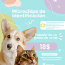 Anima LZ  Ein Projekt aus dem Bereich Kreative Beratung, Designverwaltung und Marketing von belenvillamarin7 - 18.11.2025