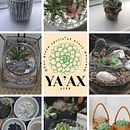 PROYECTO FINAL – Marketing para Emprendedores . Marketing de conținut, Marketing digital, Facebook Marketing, Marketing de creștere, Instagram Marketing, Marketing, Marketing mobil și Social Media de Andrea Espejel Navarrete - 11.19.2025