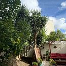 Pátio de Benfica . Desain Interior, Dan Arsitektur proyek oleh Ana da Costa - 11.19.2025