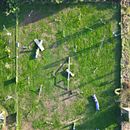 Air Agility Dog. Un proyecto de Fotografía, Vídeo y Fotografía en exteriores de davide_calderoni - 19.11.2025