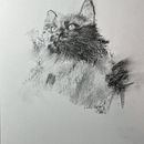 My cat Vala . Un proyecto de Bellas Artes, Dibujo, Ilustración con tinta e Ilustración naturalista				 de lbecerrilf - 19.11.2025