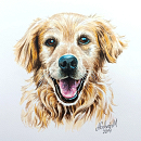 Retratos de mascotas en acuarela. Desenho de retrato, Pintura em aquarela, Ilustração tradicional, e Desenho realista projeto de Ana Galván - 20.11.2025