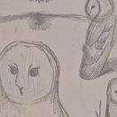 DIBUIX ARTÍSTIC: Animal fantàstic. Un progetto di Disegno artistico di anna herrerías soto - 21.11.2025