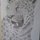 Leopardo Ein Projekt aus dem Bereich Zeichnung und Traditionelle Illustration von Francisca Munoz - 21.11.2025