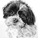 Retratos de animais de estimação em grafite e carvão.. Ilustração tradicional, Desenho, Desenho a lápis, Desenho de retrato, e Desenho realista projeto de Ana Galván - 22.11.2025