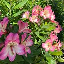 sèrie fotogràfica color. Fotografia projeto de Alba - 22.11.2025