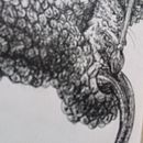 Limpieza no alimento . % Michell Mata tarafından hazırlanan Çizim, Kalem Çizimi, Sanatsal Çizim, Gerçekçi Çizim, Geleneksel illüstras, on, Mürekkep İllüstras, Ve onu projesi - 11.26.2025