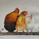 Hens tutorial by Sarah Stokes . Pictură în acuarelă de Aga - 11.26.2025