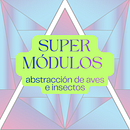 SUPER MÓDULOS: abstracción de aves e insectos. Een project van Digitale tekening, Digitale illustratie y Traditionele illustratie van nataliapinillas - 26.11.2025