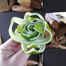 Exameeeeen..... waaaaaahhhhh!!!! . % Fernando Marcio Navia Uriona tarafından hazırlanan İçecekler projesi - 11.26.2025