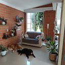 Mi espacio relajante . % Silvia Liliana Florez Trcohez tarafından hazırlanan Dekoras, on, Kendin Yap, Çiçek ve Bitki Tasarımı, İç Dekoras, on, İç Tasarım, Pe, zaj Mimarisi, Ve Mekansal Tasarım projesi - 11.27.2025