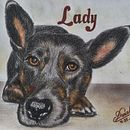 LADY (hasta la eternidad). Un proyecto de Ilustración tradicional e Ilustración naturalista				 de Dania Aguirre - 29.11.2025