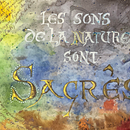 Calligraphie et sons de la Nature . Caligrafie & Ilustrație cu cerneală de p_m_guinchard - 11.30.2025