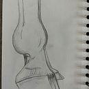 Diferentes partes de animales . Un progetto di Disegno e Disegno a matita di Anna Isabel molina - 01.12.2025