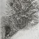 Country Theme. Een project van Sketchbook,  Tekening, Tekening met potlood,  Schetsen y Kinderillustratie van Wendy McPherson - 02.12.2025