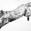 D.A - Dibuix d'un animal (pt.2) . % Félix Durden ;) tarafından hazırlanan Çizim, Ve Sanatsal Çizim projesi - 12.03.2025