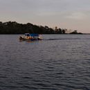 Pesquisa Visual e de Roteiro para Documentário Amazônico. Film, and Video Editing project by Laryssa Gaynett - 12.04.2025