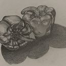 Nature morte Ein Projekt aus dem Bereich Traditionelle Illustration von Erwan Wick - 08.12.2025