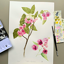 Ilustración Botanica con Acuarelas. Fine Arts, Drawing, Traditional illustration, Painting, Watercolor Painting, and Botanical Illustration project by Daniela Fonseca - 12.10.2025