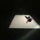 Dark Matters . Creativitate și Design spațial de Marisol Cal y Mayor - 12.10.2025