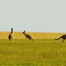 Presentación. Un progetto di Fotografia documentaria e Fotografia all'aperto di Júlia Gonzalo Ortega - 17.12.2025