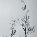 Plum Blossoms. Een project van  Tekening, Traditionele illustratie,  Illustratie met inkt,  Beeldende kunst y Schilderij van Sara Facenda - 21.12.2025