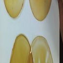 Bioplastico de menta y jamaica. Un progetto di Artigianato e DIY di Ivone Wong - 22.12.2025