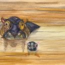 Hippopotamus. Naturalistic Illustration project by Didier Van Impe - 12.23.2025
