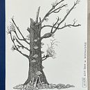 Ink Drawings . % Anke Weber tarafından hazırlanan Mürekkep İllüstras, onu, Geleneksel illüstras, Ve on projesi - 01.04.2026