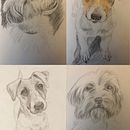 Szkicownik z psami: Najlepsi modele mają cztery łapy . Menggambar, Gambar Pensil, Ilustrasi tradisional, Dan Buku sketsa proyek oleh Ewa Szymczak - 01.06.2026