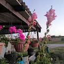 Von der Bauschuttdeponie zum gemütlichen Zuhause Ein Projekt aus dem Bereich DIY, Design, Stor, telling, Innendesign, Architektur und Möbeldesign und - bau von Hanna Lj. Kuštera - 14.01.2026