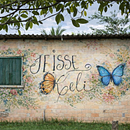 Vernieuwing . Een project van Digitale illustratie y Traditionele illustratie van jeisse keli - 16.01.2026